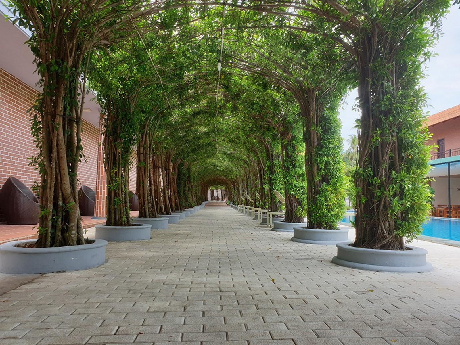 Countryside Phu Quoc Resort Εξωτερικό φωτογραφία