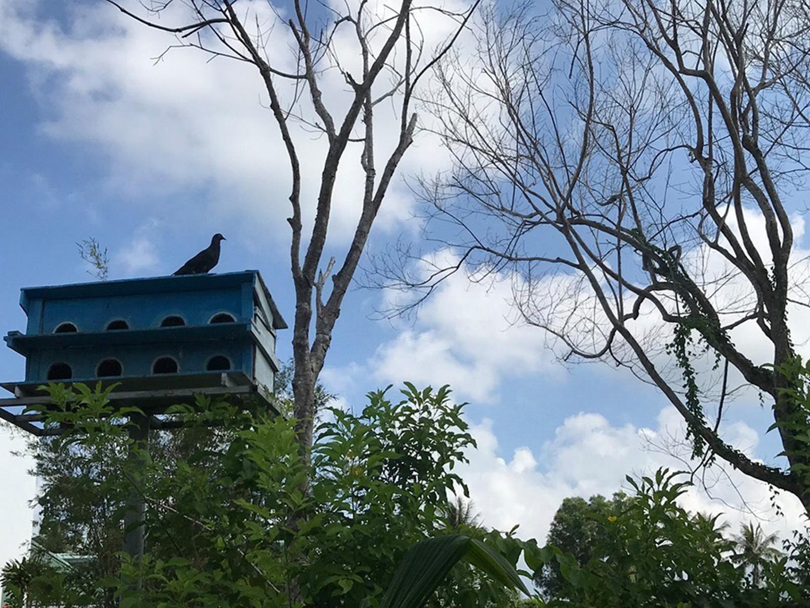 Countryside Phu Quoc Resort Εξωτερικό φωτογραφία